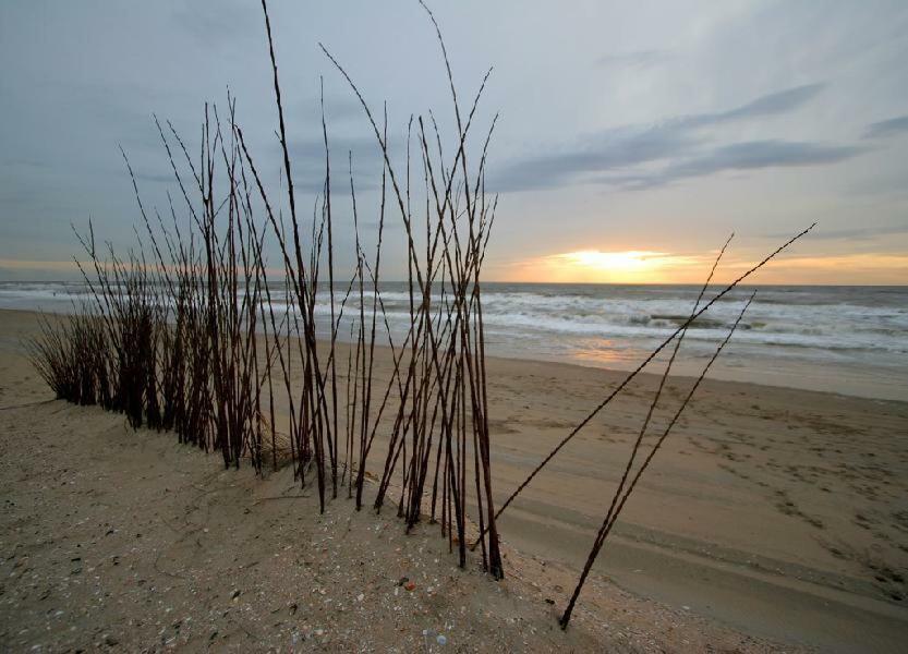 Pension 'T Hofje 350 Meter Van Het Strand 诺德韦克 外观 照片